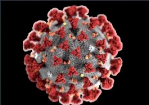coronavirus:-tamponi-gratuiti-in-regione-piemonte
