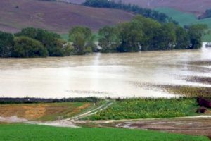 regione-piemonte-–-evento-alluvionale-novembre-2019-–-recupero-legname-presente-in-alveo